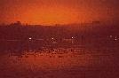 COSTARICA tramonto sul mare