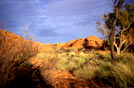 Australia, il Bush del Gibson Desert