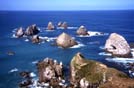 Nuova Zelanda, Nugget Point, Isola del Sud