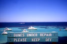 'West Australia, isola di Rottnest