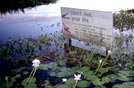 Australia, Kakadu National Park, Northern Territory
