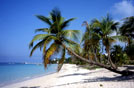 Honduras, una delle magnifiche spiagge di Roatan