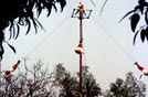 Indios voladores Totonac