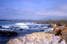 'USA, Oceano Pacifico in Cambria, California