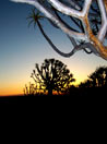 Namibia, 2006