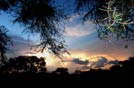 Botswana, 2006