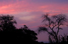 Swaziland, Mlwane N.P., 2006