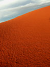 Namibia, nel deserto Namib