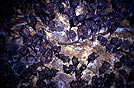 Indonesia, pipistrelli in grotta