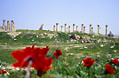 Giordania; Jerash