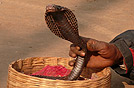 Tragitto India nord-ovest-3