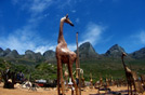 Sudafrica, Cape Town