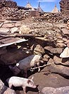 Mali, Dogon Country