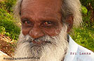 vecchio signore, Sri Lanka