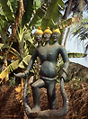 Benin, sul cammino degli schiavi